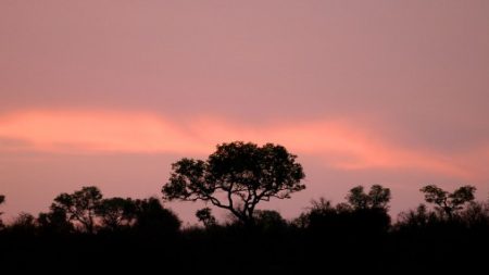 ¿Señales de que he estado demasiado tiempo en esto?