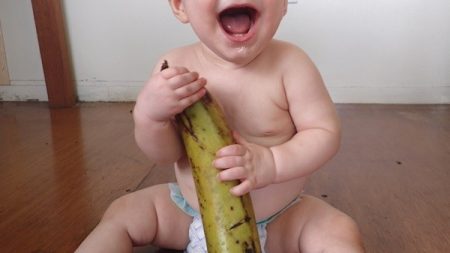 Bananos –Segunda parte
