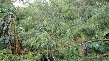 ¿QUÉ ESTÁ SOPLANDO EN EL VIENTO? LA RESPUESTA, AMIGO, ES EL TEMA DE LAS NOTICIAS DE ESTA SEMANA