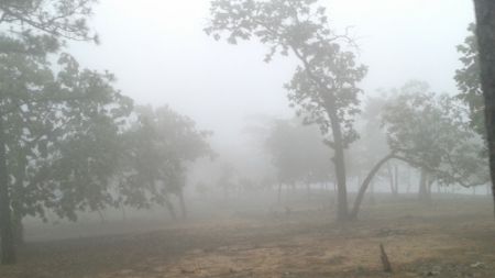 Viaje de Cameron a una obra tribal de México