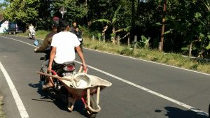 Salón de clases de ACI: Frenar por las gallinas