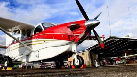 Luchando con Kodiaks