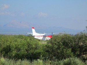 Noticias del Kodiak